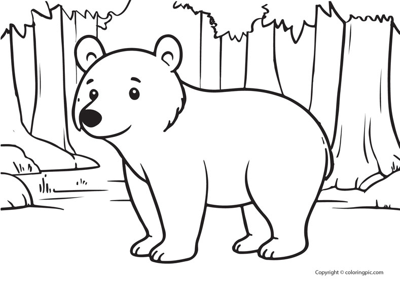 bear colouring pages